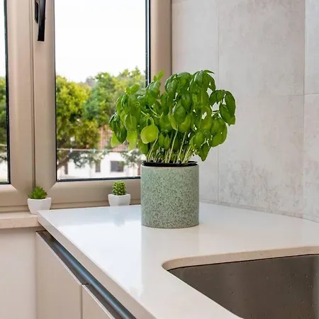 Beautiful Cozy Near Nazare, Leiria&batalha Casa de Férias Juncal (Leiria)