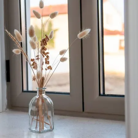 Beautiful Cozy Near Nazare, Leiria&batalha بيت للعطل *